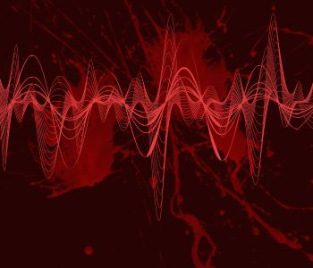 Photo de N°181 - Rock en Seine - 2